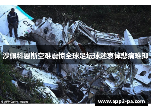沙佩科恩斯空难震惊全球足坛球迷哀悼悲痛难抑 沙佩科恩斯空难震惊全球足坛球迷哀悼悲痛难抑
