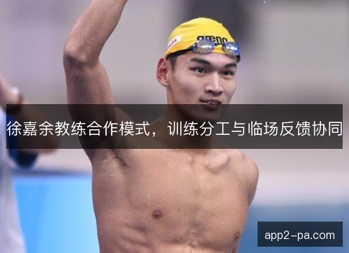 徐嘉余教练合作模式,训练分工与临场反馈协同 徐嘉余教练合作模式,训练分工与临场反馈协同